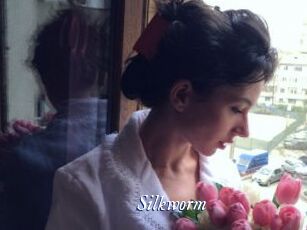 Silkworm