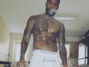 Snicka