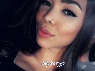 Soy_karygo
