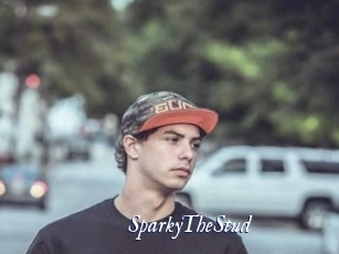 SparkyTheStud