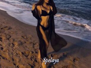 Spelaya