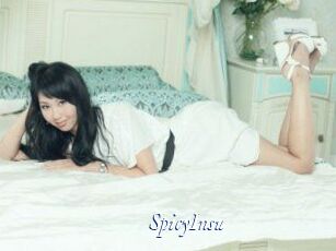 SpicyInsu