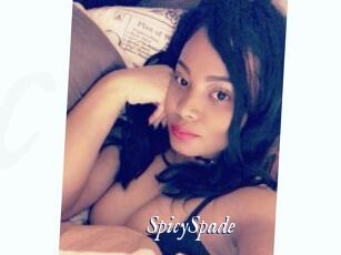 SpicySpade