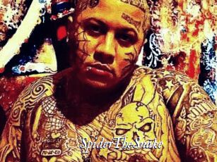 SpiderTheSnake