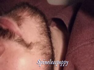 Spinelesspoppy