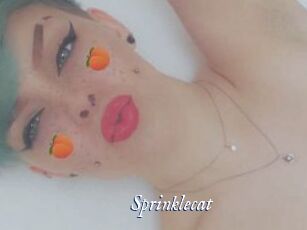Sprinklecat