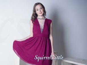 SquirrelLittle