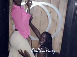StallionPussy