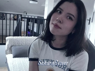 Sakuraflower
