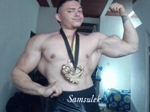Samsulek