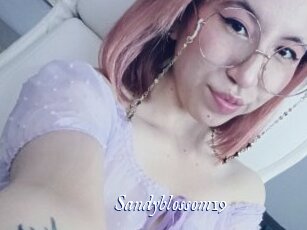 Sandyblossom19