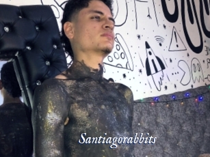 Santiagorabbits