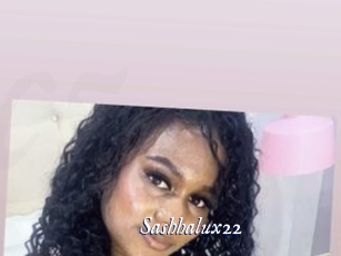 sashhalux22 Cam 5