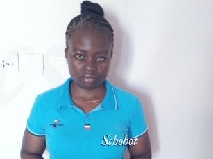 Schohot
