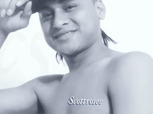 Scottrosee