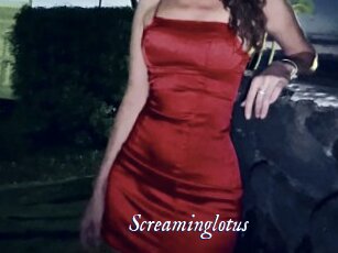 Screaminglotus