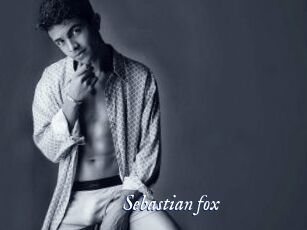 Sebastian_fox