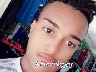 sebastianboy_gay Cam 5