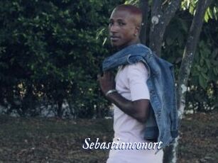 sebastianconort Cam 5