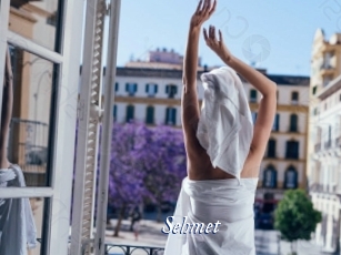 Sehmet
