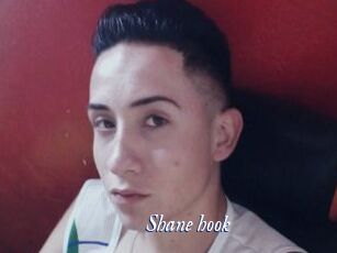 Shane_hook