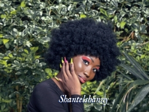Shantelshanny