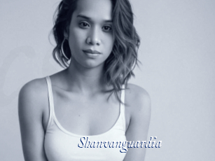 shanvanguardia Cam 5