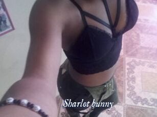 Sharlot_bunny