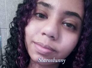 Sharonbunny