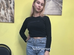 Sibleyarnet