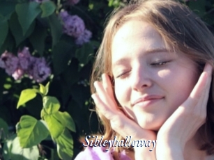 Sibleyhalloway