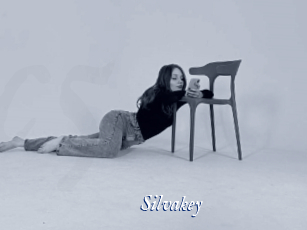Silvakey