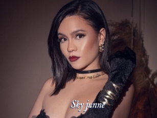 Sky_junne