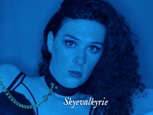Skyevalkyrie