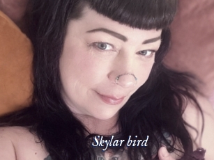 Skylar_bird