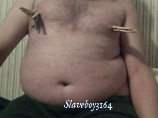 Slaveboy3164