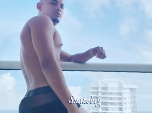 snakebig Cam 5