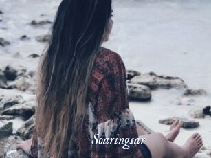 Soaringsar