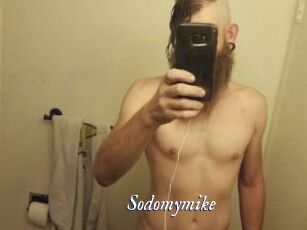 Sodomymike