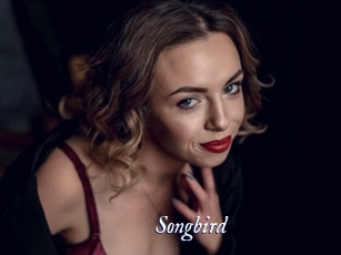 songbird Cam 5