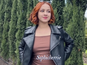 Sophicherrie