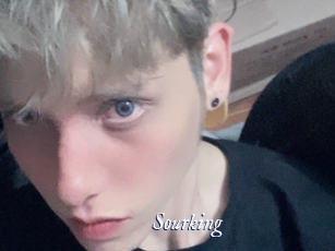 Sourking