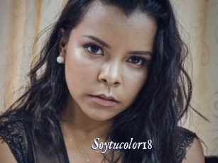 Soytucolor18
