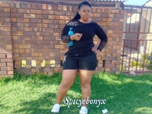 Spicyebonyx