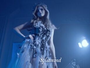 Splitmind