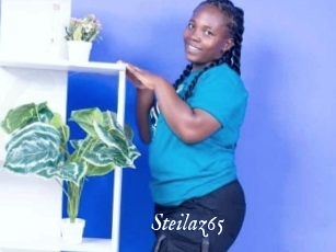 steilaz65 Cam 5