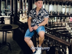 Stevebunny
