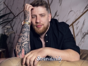 stevecassidy Cam 5