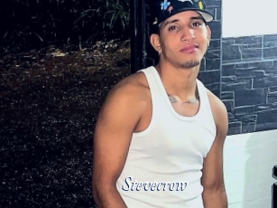 Stevecrow