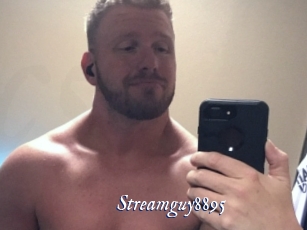 Streamguy8895
